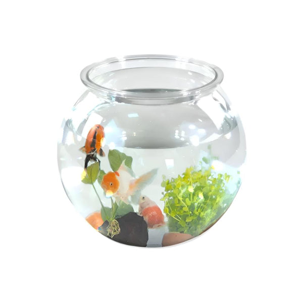 Trasportino Per Animali | Varie Taglie | Diversi Pesi Supportati Pieghevole Grigio Balu Mobiclinic Trasportino Per Animali | Varie Taglie | Diversi Pesi Supportati Pieghevole Grigio Balu Mobiclinic