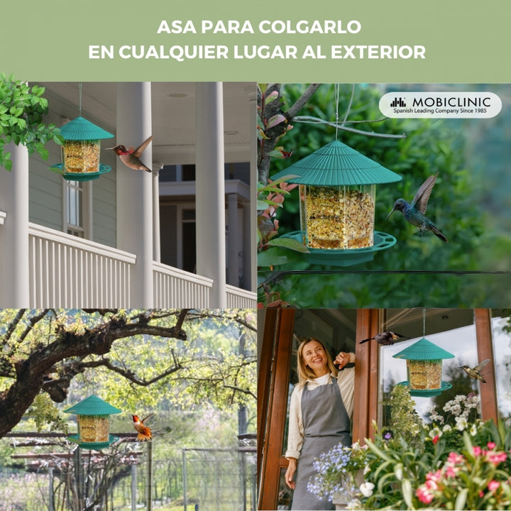 Medagliette Per Uccelli / Spighe Per Uccelli Per Esterni Per Tenere Lontani Uccelli E Rettili 10 Pz Darkbrown 91772717 Medagliette Per Uccelli / Spighe Per Uccelli Per Esterni Per Tenere Lontani Uccelli E Rettili 10 Pz Darkbrown 91772717