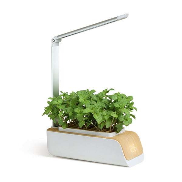 Giardino urbano da interno | LED automatico | Coltivare senza luce naturale | Inclinazione regolabili | 4,5 W | Mini-grow | Mobiclinic